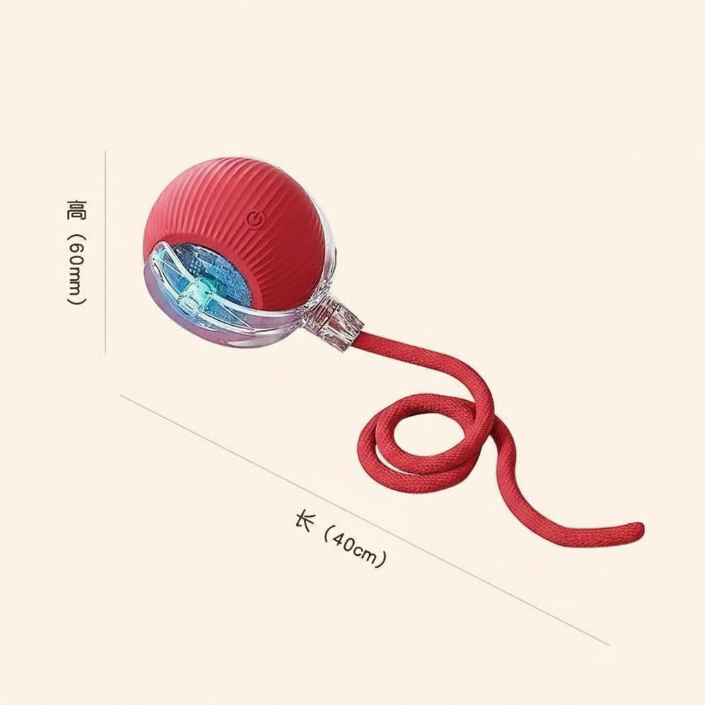 PetWoOw LumiTail™ - PetWooW