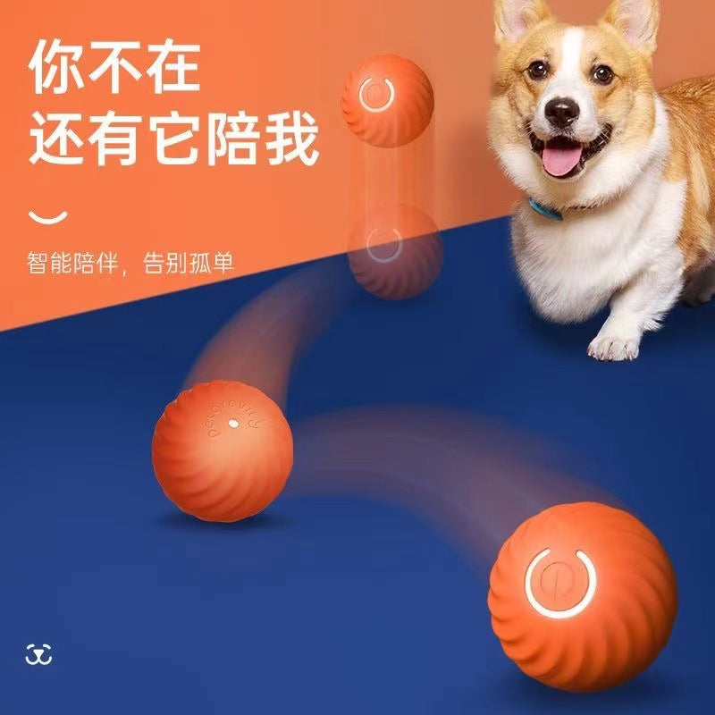 Gravity Jumping ball dog toy Bite resistant ball automatic dog teaser from high boredom pet USB interactive toy