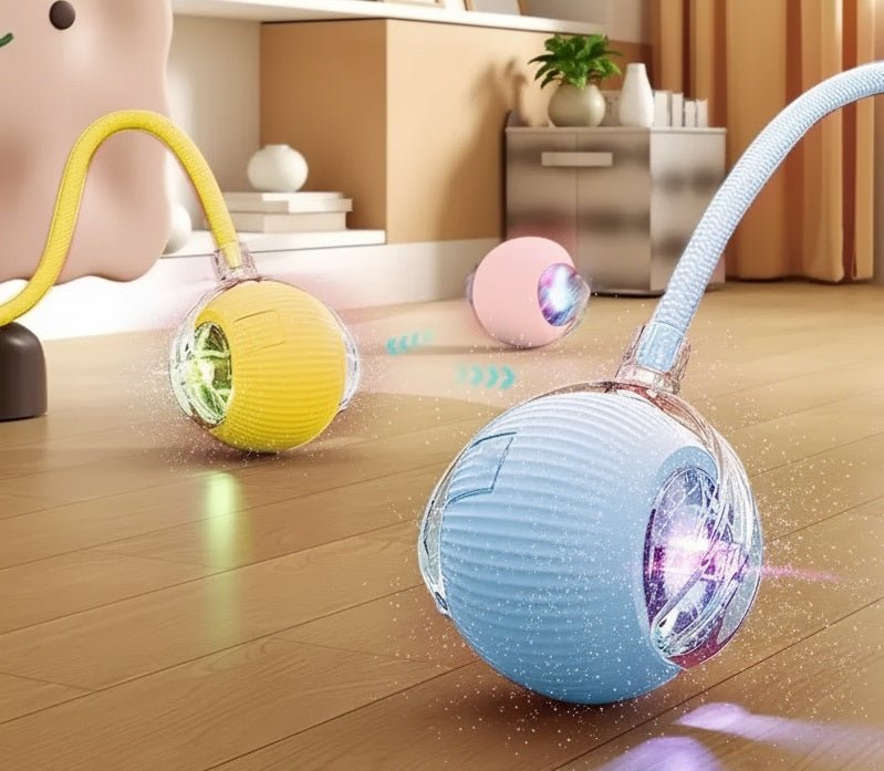 PetWoOw LumiTail™ - PetWooW