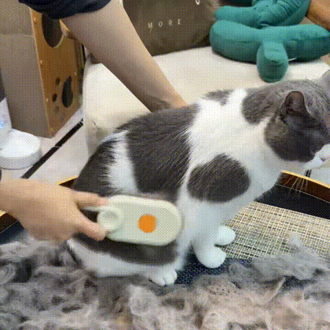 Steamy Pet Brush - 3-in-1 Grooming & Massage Comb for Cats & Dogs