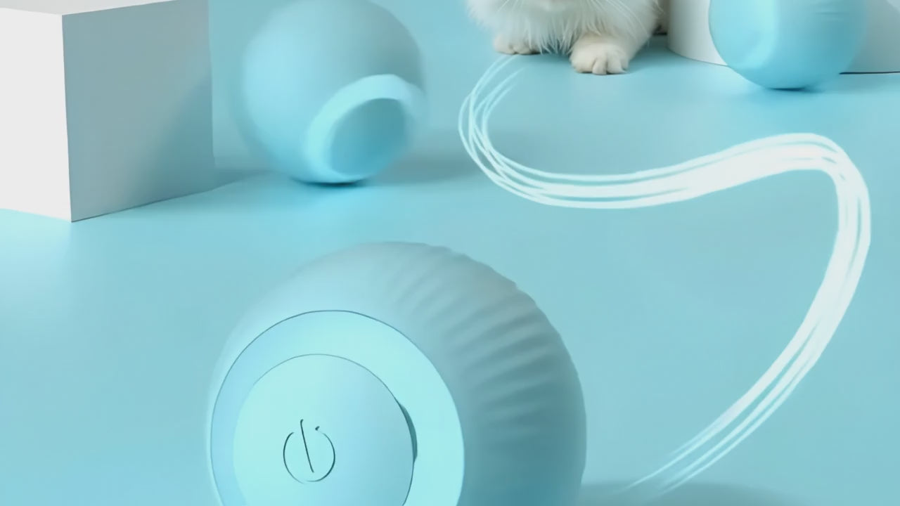petWoOw KineticGlow™ Pet Ball | Smart Rechargeable LED Toy for Cats & Dogs